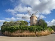 Steinwindmühle mit vier Metallflügelrahmen in Llucmajor, Mallorca, umgeben von grünen Hecken und Bäumen unter blauem Himmel mit weißen Wolken.