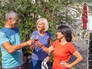 Wine tasting in the Palatinate
