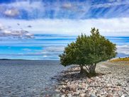 Strand auf Gotland