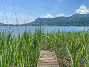 Holzsteg führt durch grünes Schilf am Keutschacher See in Kärnten. Blaues Seewasser und bewaldete Berge unter sonnigem Himmel.