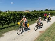 Four cyclists with yellow panniers riding on a gravel path between lush green vineyards near Pradamano on the Alpe Adria cycle route.