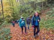 Gruppe von Wanderern auf blätterbedecktem Waldweg im Herbst. Bäume zeigen gelbes und grünes Laub in dichter Waldlandschaft.