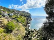 Panoramic view of the Madeira coast