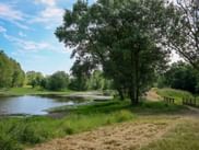 Loire River near Saumur with large trees along the bank, wooden benches on a cycling path, and green meadows under a blue sky.