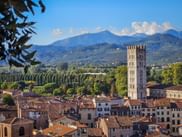 View of Lucca with the medieval Guinigi Tower rising above terracotta rooftops. Mountains and green landscape visible in the background.