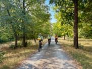 Drei Radfahrer auf einem Schotterweg durch eine Baumallee mit trockenem Gras auf beiden Seiten unter blauem Himmel bei Heidelberg.