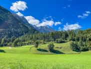 Green meadow with wooden fence near Golling, surrounded by forest and mountains under blue sky with white clouds.