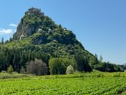 Burg Hochosterwitz thront auf einer steilen bewaldeten Felsformation in Kärnten, mit grünen Feldern im Vordergrund und blauem Himmel.