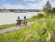 Danube Cycle Path cyclist