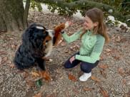 Hund gibt Frau die Pfote
