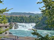 View of the Rhine Falls