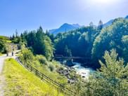 Saalach riverbank near Lofer on a sunny day