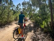 Radfahrer mit gelben Taschen schiebt Fahrrad auf sandigem Waldweg mit Eukalyptusbäumen bei Vila Nova de Santo André.