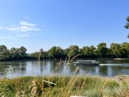 Tour boat cruising on Loire River near Chalonnes-sur-Loire with grassy riverbank, reeds in foreground, and tree-lined shore under blue sky.