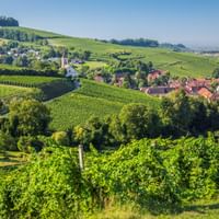 Panoramablick auf Auggen mit Kirchturm inmitten der Weinberge im Südschwarzwald unter blauem Himmel.