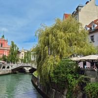Grüner Fluss durch Ljubljana mit Weide, Steinbrücke und rosa Kirchturm. Café-Terrasse am Flussufer.