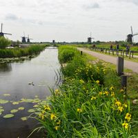 Windmühlen in Kinderdijk-Elshout
