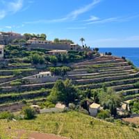 Landwirtschaftliche Terrassen in Banyalbufar, Mallorca, die zum Mittelmeer hinabführen mit Steinhäusern und üppiger Vegetation.