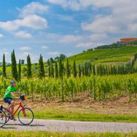 Two cyclists surrounded by vineyards, rolling hills and cypresses