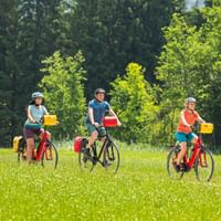 Three cyclists with helmets and panniers riding through a sunny meadow on the Tauern Radweg near Salzburg, with dense forest in the background.