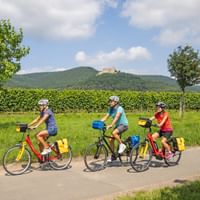 Cycling group on a cycle path with a view of Hambach Castle