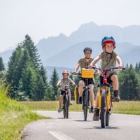 Drei junge Radfahrer mit Helmen fahren auf einem asphaltierten Weg durch grüne Wiesen mit Bergen und Wäldern im Hintergrund.
