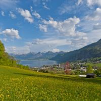View over flower meadows to the Wolfgangsee with mountain panorama in the background
