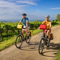 Two cyclists with panniers riding on gravel path through green vineyards near Lake Garda, with blue sky and distant hills in background.