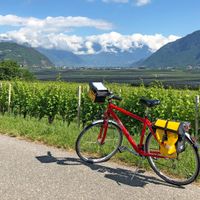 A bicycle stands in front of vineyards near Merano