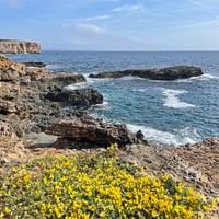 Felsküste Portocolom Felstküste