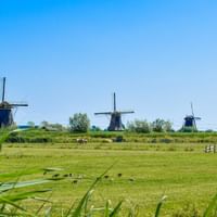 Fünf traditionelle niederländische Windmühlen stehen in einer Reihe über grünen Wiesen in Kinderdijk unter blauem Himmel.