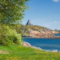 Wiese mit gelben Löwenzahn am Oslofjord mit blauem Wasser, felsiger Küste und einer Windmühle auf einem entfernten Hügel.