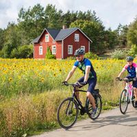 Zwei Radfahrer auf einem Radweg, im Hintergrund ein Sonnenblumenfeld und ein typisches rotes Holzhaus