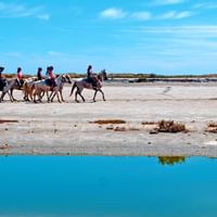 Equestrians besides the sea