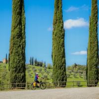 Cyclist on gravel road lined with tall cypress trees in Tuscany. Rolling green hills with farmhouse and olive trees visible in background.