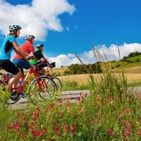 Drei Radfahrer auf einem Radweg inmitten von Feldern und Hügeln