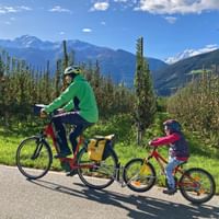 Family cycling along the apple orchard