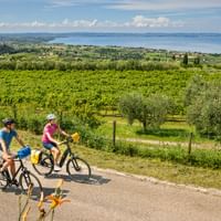 Two cyclists on a path through vineyards and olive groves near Cavaion Veronese with panoramic view of Lake Garda and mountains.