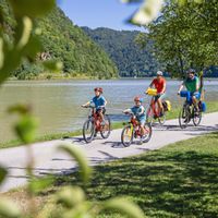 Family of four cycling along the Danube bank