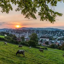 Ausblick vom Fotospot 