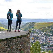 Hikers with a view of the Rheingau