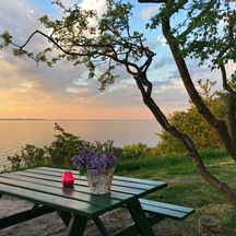 A wooden picnic table next to a tree with a sunset atmosphere and the sea in the background