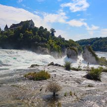 Blick auf den Rheinfall Felsen