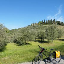 Landschaft in der Toskana mit Rad