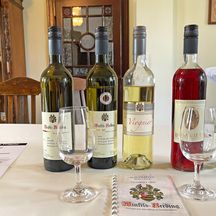 Several bottles of wine at a wine tasting in Dackenheim