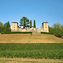 Burg auf Anhöhe