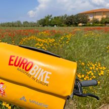 Handlebar bag on Eurobike bike in front of a meadow