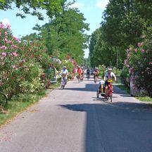 Radfahrer in Lido di Venezia