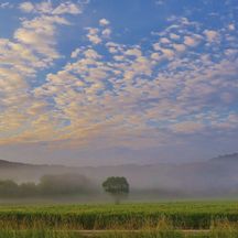 Altocumulus - Wetter richtig lesen