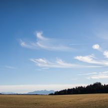 Feather clouds above a field